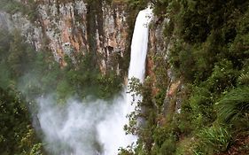 Springbrook Lyrebird Retreat